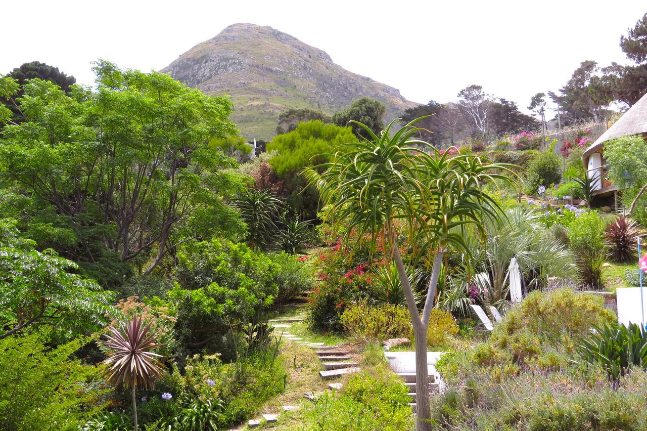 Oceangolf Guest House Noordhoek Exteriér fotografie